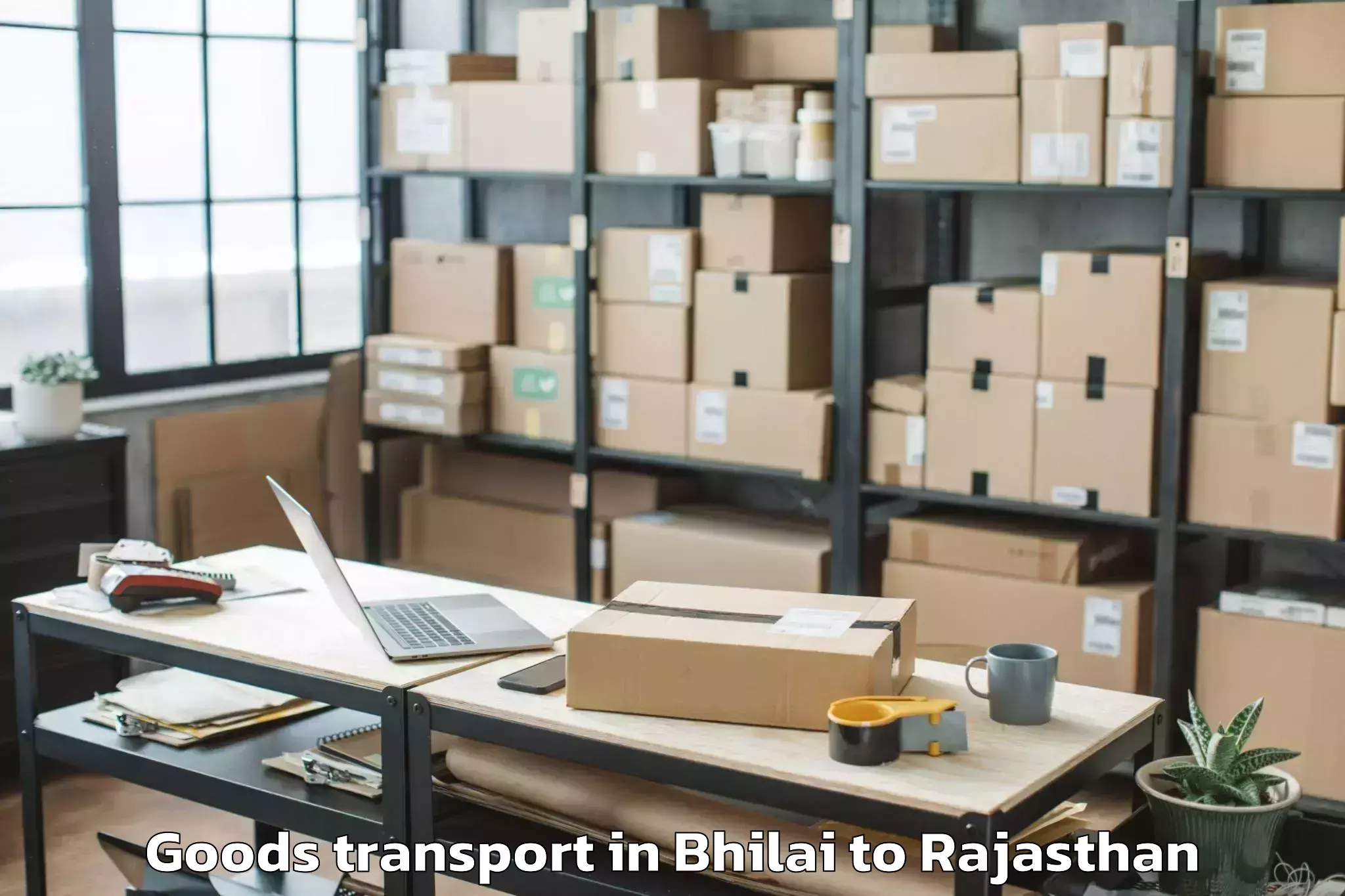 Book Your Bhilai to Paota Goods Transport Today